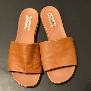 Steve Madden Women's Brown Slide Sandals